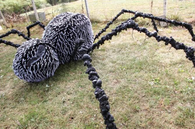 Der Körperbau eines Riesenspinne Der Körperbau eines Riesenspinne