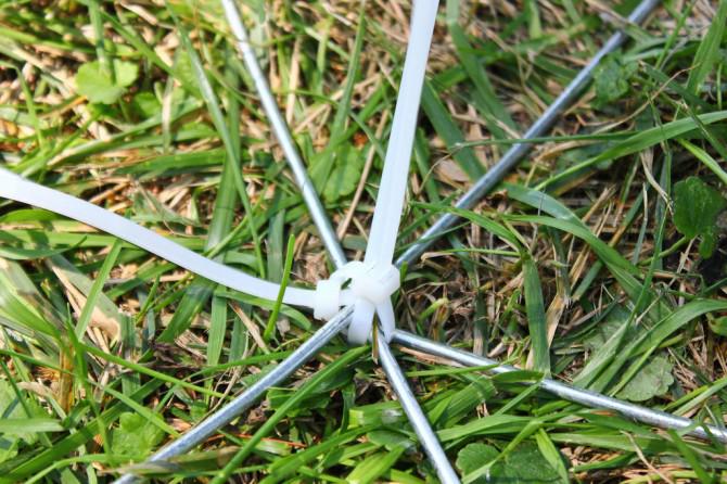Der Körperbau eines Riesenspinne Der Körperbau eines Riesenspinne