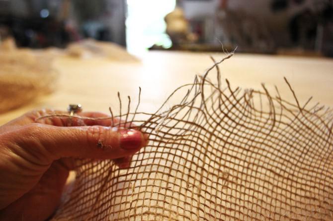 Der Körperbau eines Riesenspinne Der Körperbau eines Riesenspinne