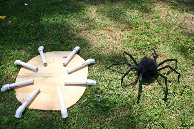 Der Körperbau eines Riesenspinne Der Körperbau eines Riesenspinne
