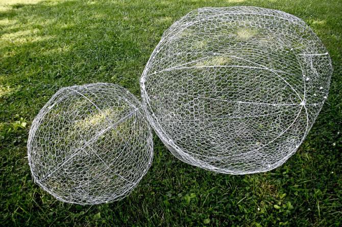 Der Körperbau eines Riesenspinne Der Körperbau eines Riesenspinne