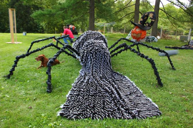 Der Körperbau eines Riesenspinne Der Körperbau eines Riesenspinne