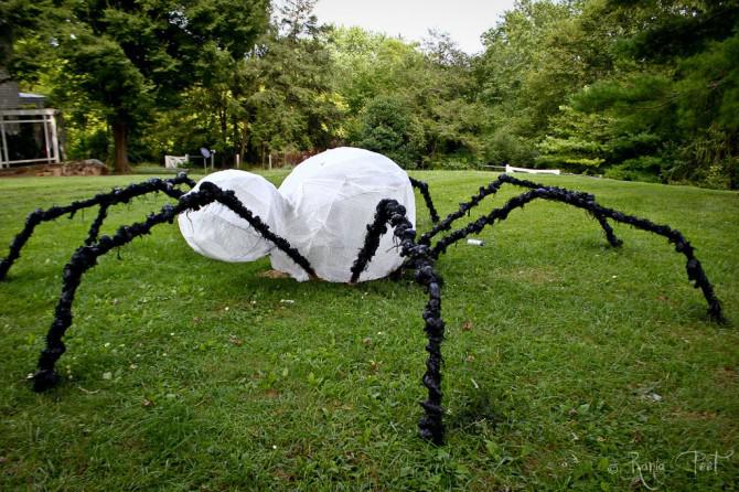 Der Körperbau eines Riesenspinne Der Körperbau eines Riesenspinne