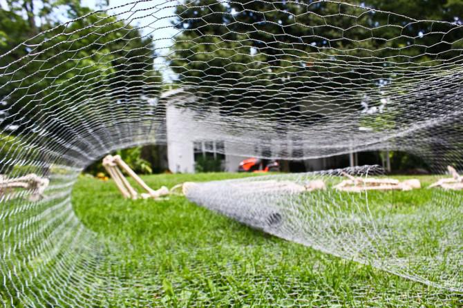 Der Körperbau eines Riesenspinne Der Körperbau eines Riesenspinne