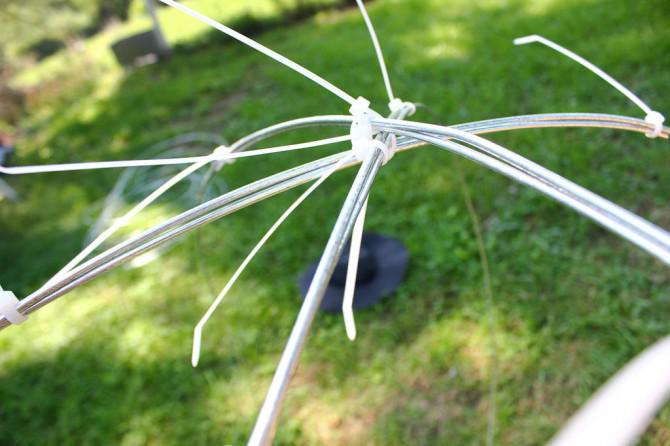 Der Körperbau eines Riesenspinne Der Körperbau eines Riesenspinne