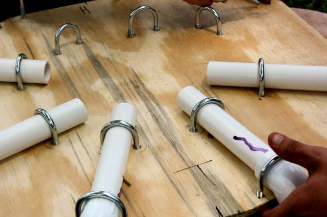 Der Körperbau eines Riesenspinne Der Körperbau eines Riesenspinne